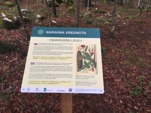 Informativna tabla, arhiv Občine Dolenjske Toplice