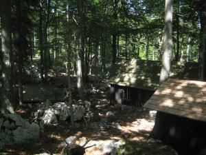 Baza 20, Jošt Gantar