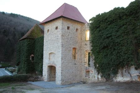 Obnovljena vhodna partija, Mojca Žnidaršič