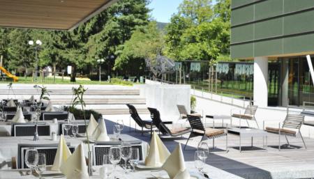 Kavarna Balnea, arhiv Term Dolenjske Toplice