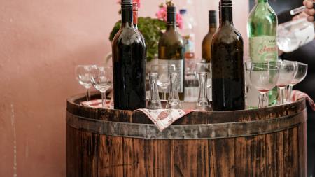 Degustacije vin, arhiv Občine Dolenjske Toplice