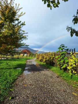 Dobrodih, arhiv Urške Granda