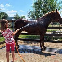 Dobrodih, arhiv Urške Granda