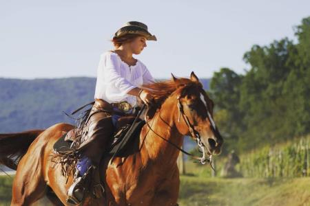Posestvo Dobrodih, arhiv Urške Granda