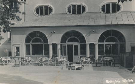 Dolenjske Toplice, razglednica, 1950, Janko Erjavec 