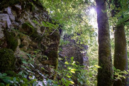 Ruševine gradu Rožek, Alenka peterlin