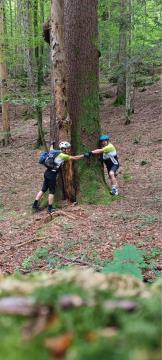 Smreka pod Kunčem, arhiv Občine Dolenjske Toplice