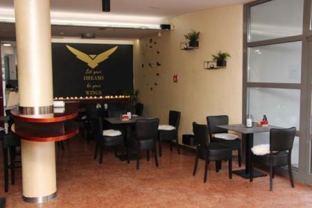 Sokol bar, Mojca Žnidaršič