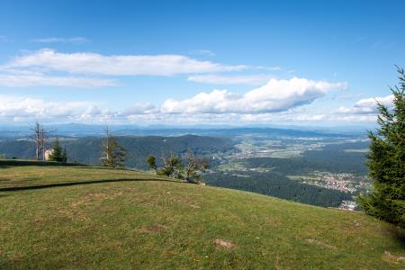 Razgledna točka, Pogorelec, Alenka Peterlin